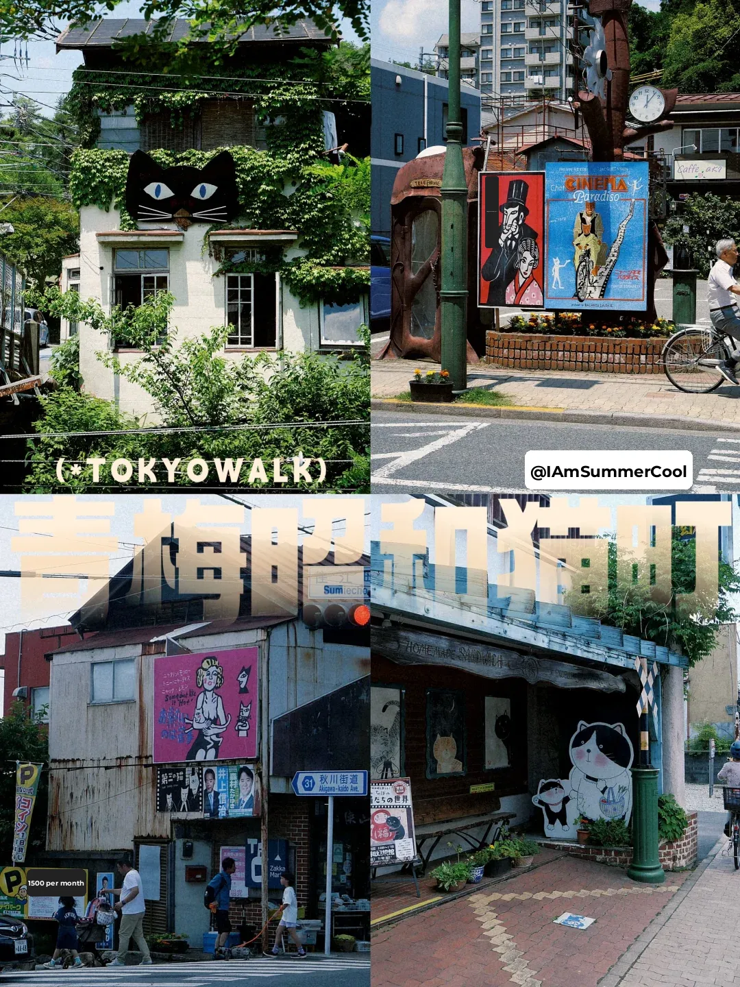 Tokyo's Ome: A Must-Visit for Cat Lovers ‼️ The Nostalgic Town Under the Protection of the Cat God