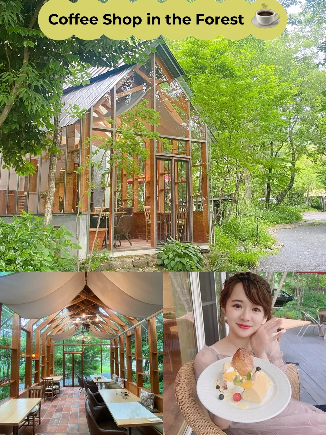 Osaka | A Garden Full of Hydrangeas | Hidden Forest Café ☕️