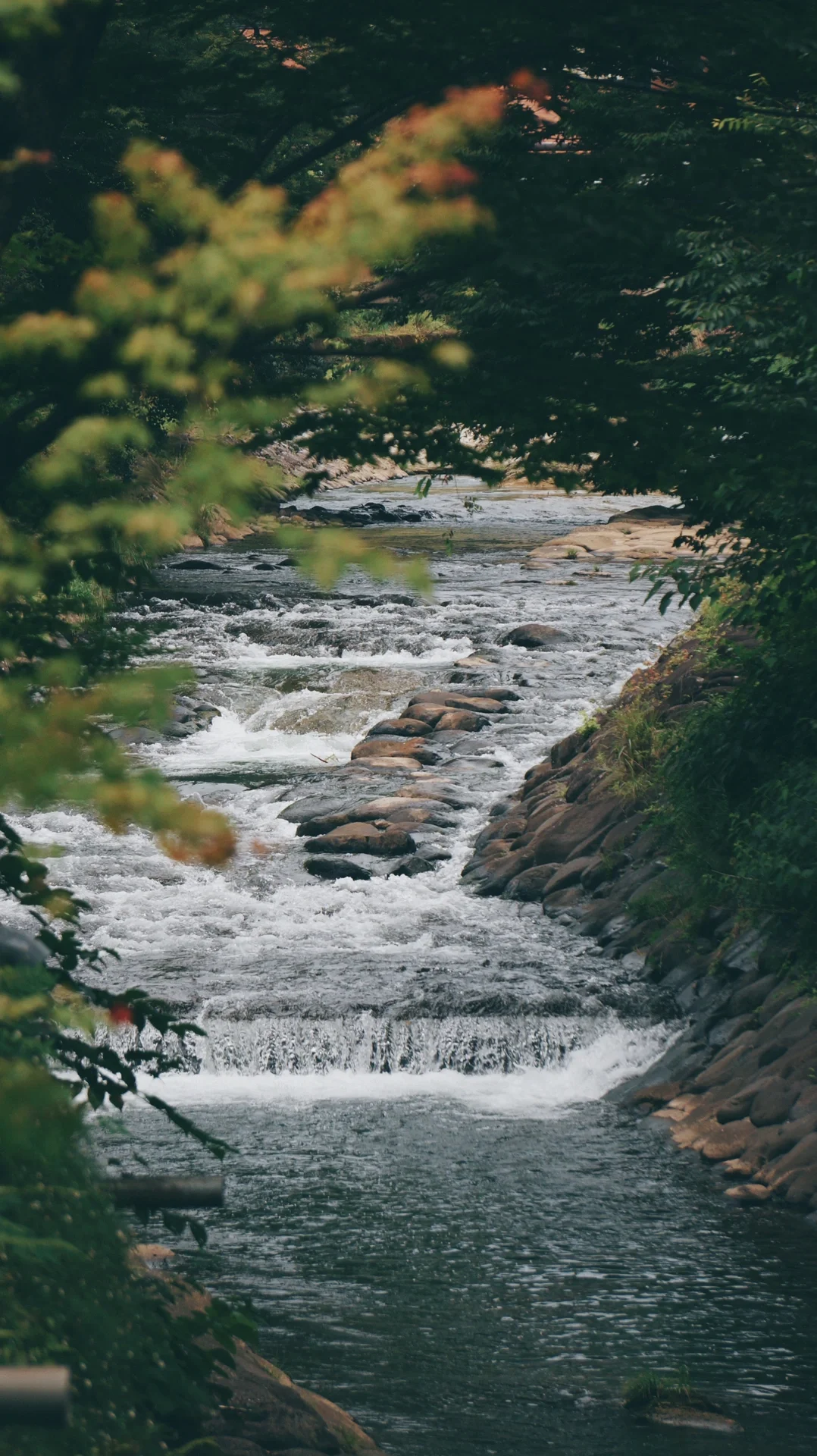 Exploring the Literary Charm of Izu Peninsula near Tokyo (Part 1): Must-See Spots