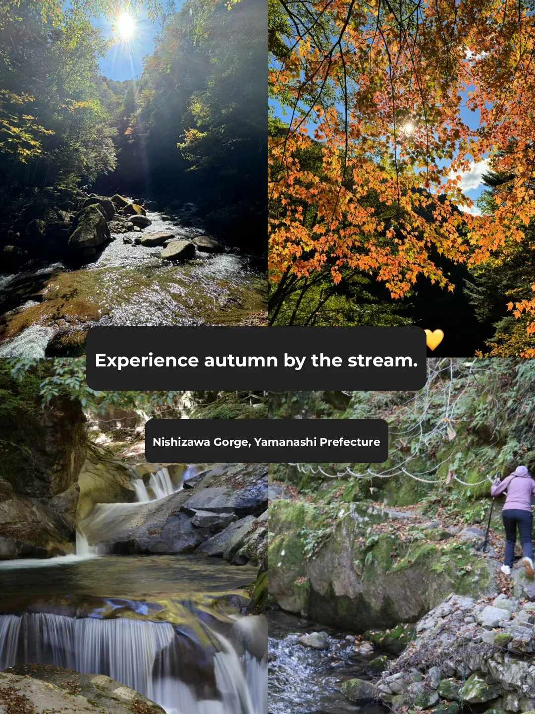 Day Trip Hiking in Tokyo | A Soothing Journey Through Forests and Streams