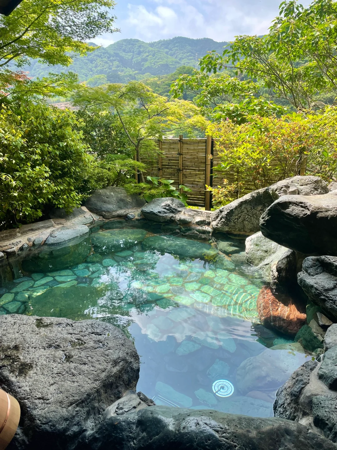 Tokyo-Hakone-Izu ♨️ Hot Springs Hotel OG 🔥