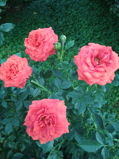 See more posts