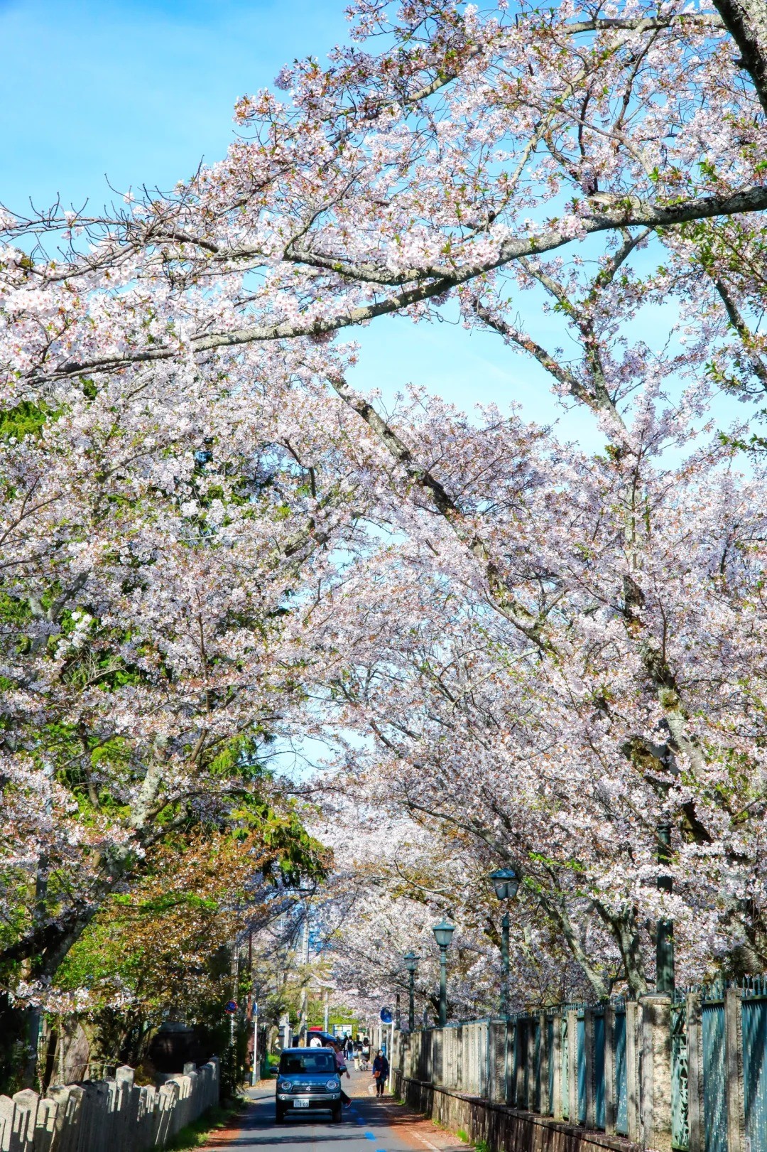 post_image
