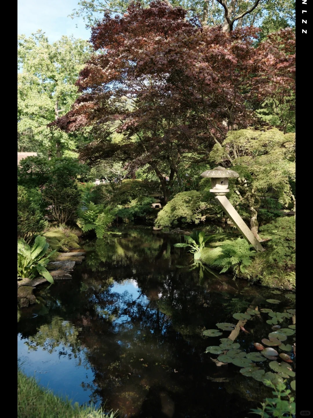 post_image