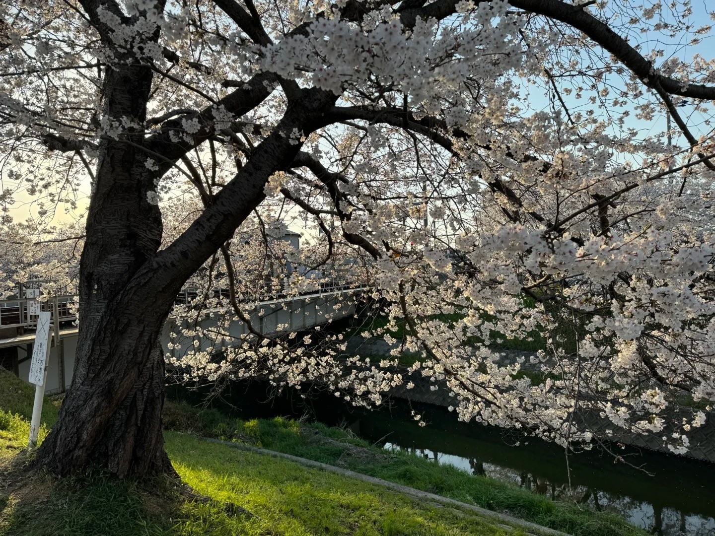 post_image