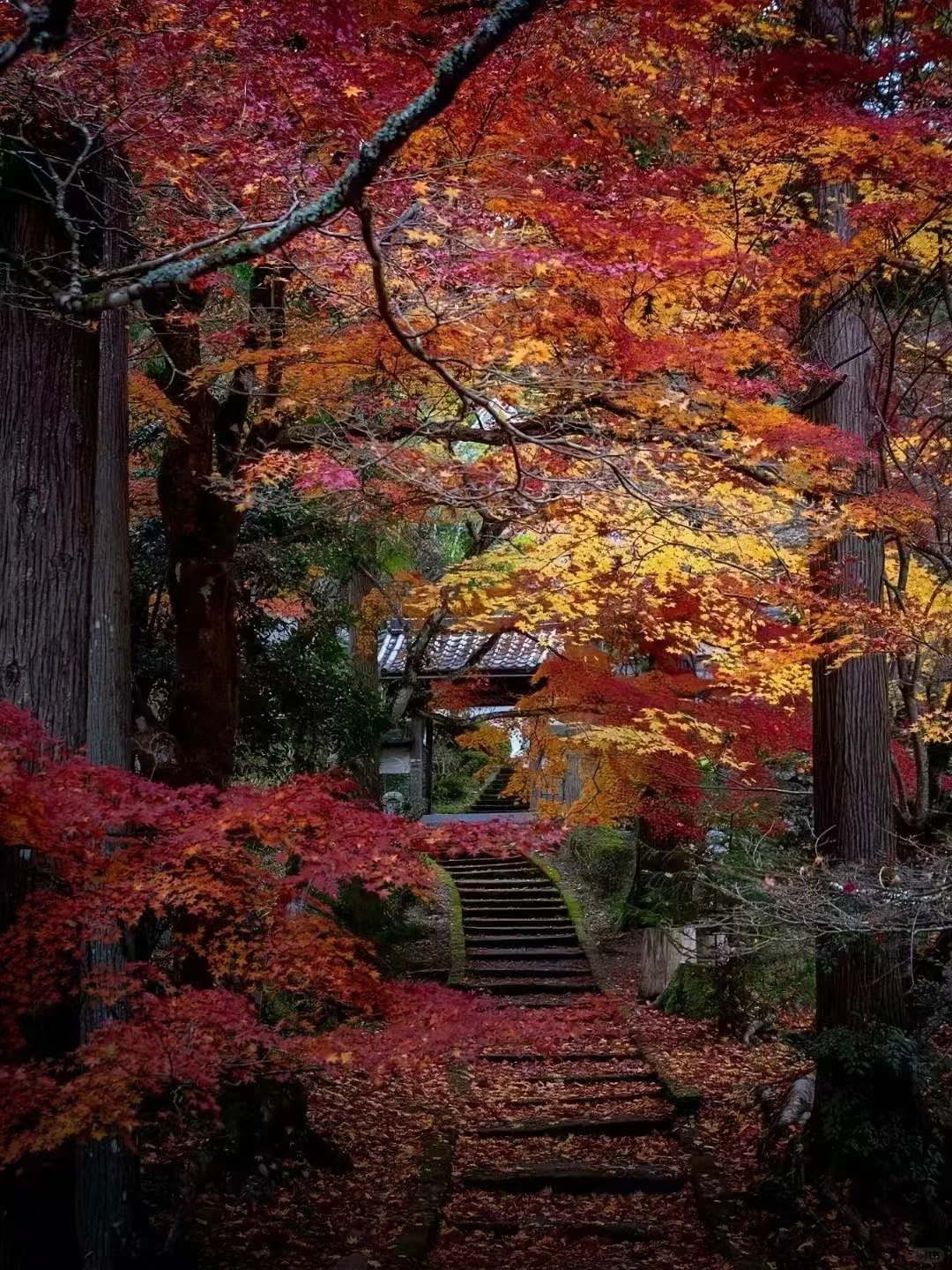 post_image