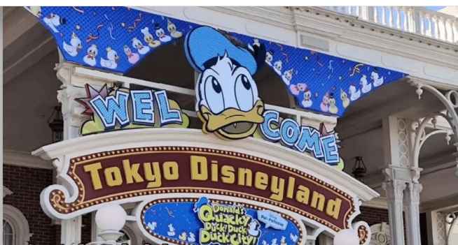Tokyo Disney Land and Sea Park Choices (2) 🎉