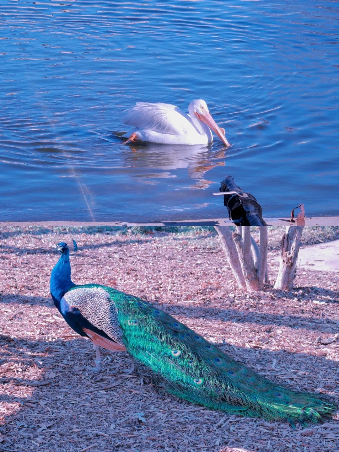 post_image