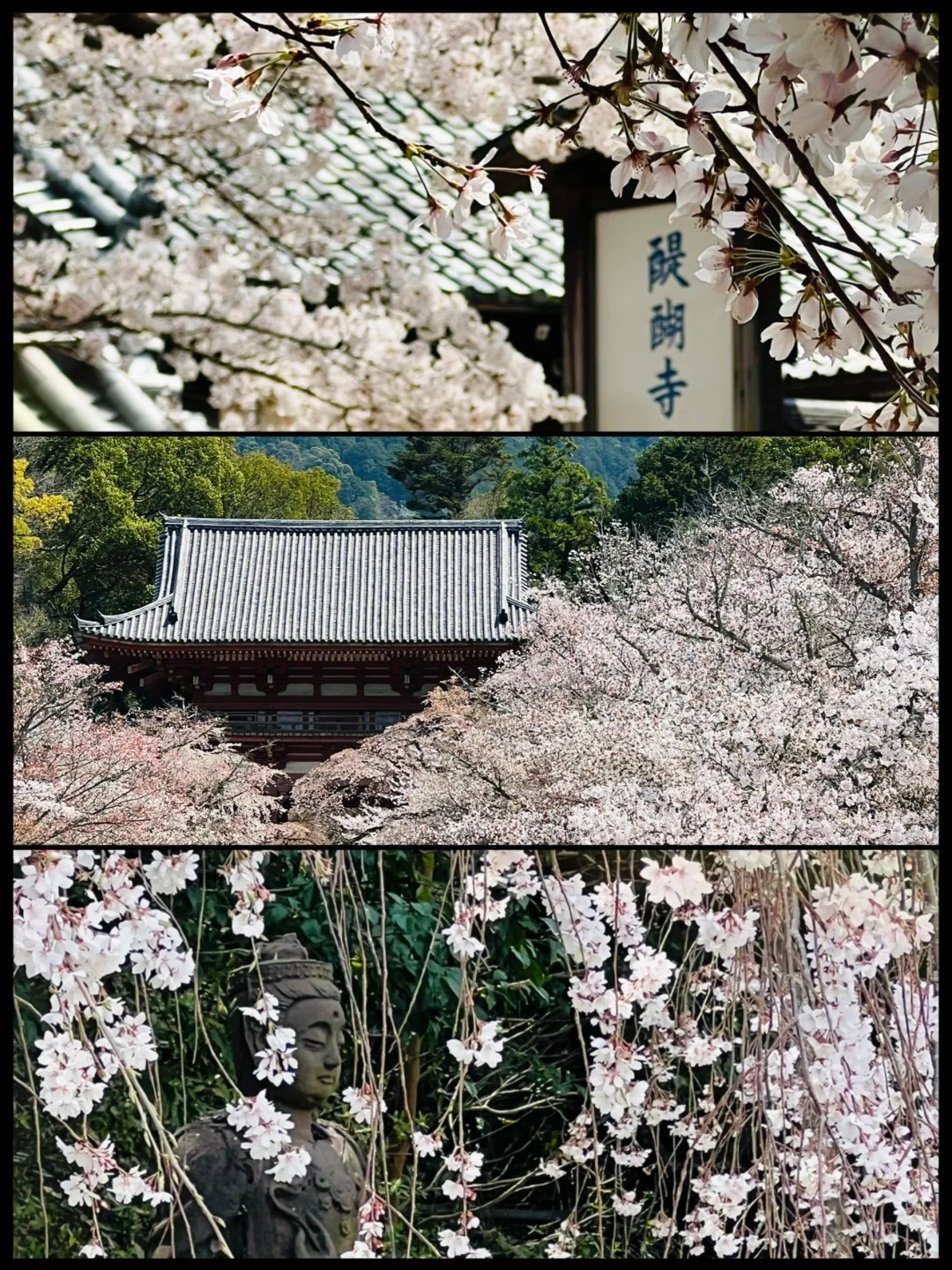 post_image