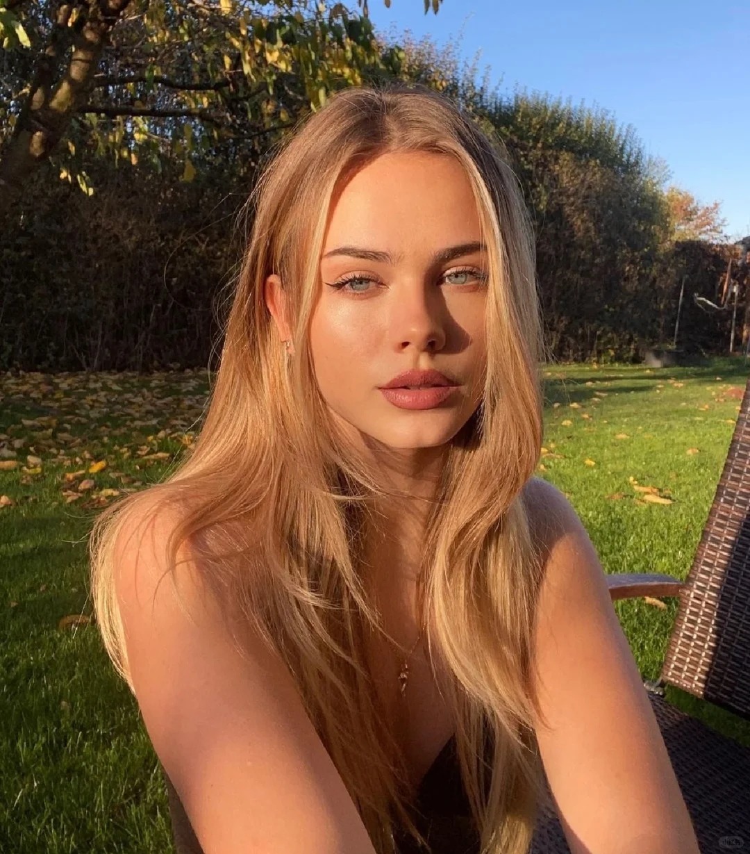 Stella