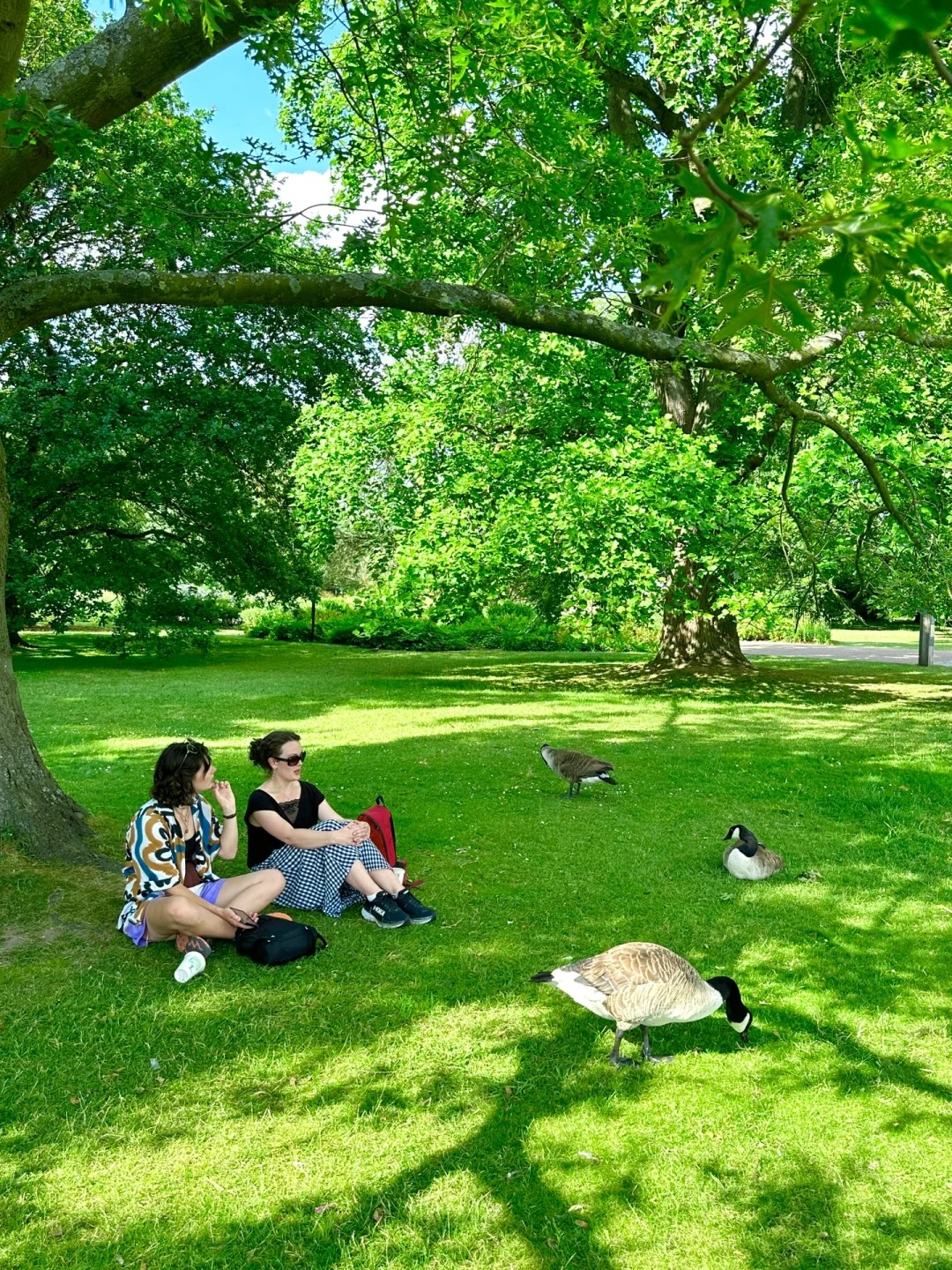 post_image