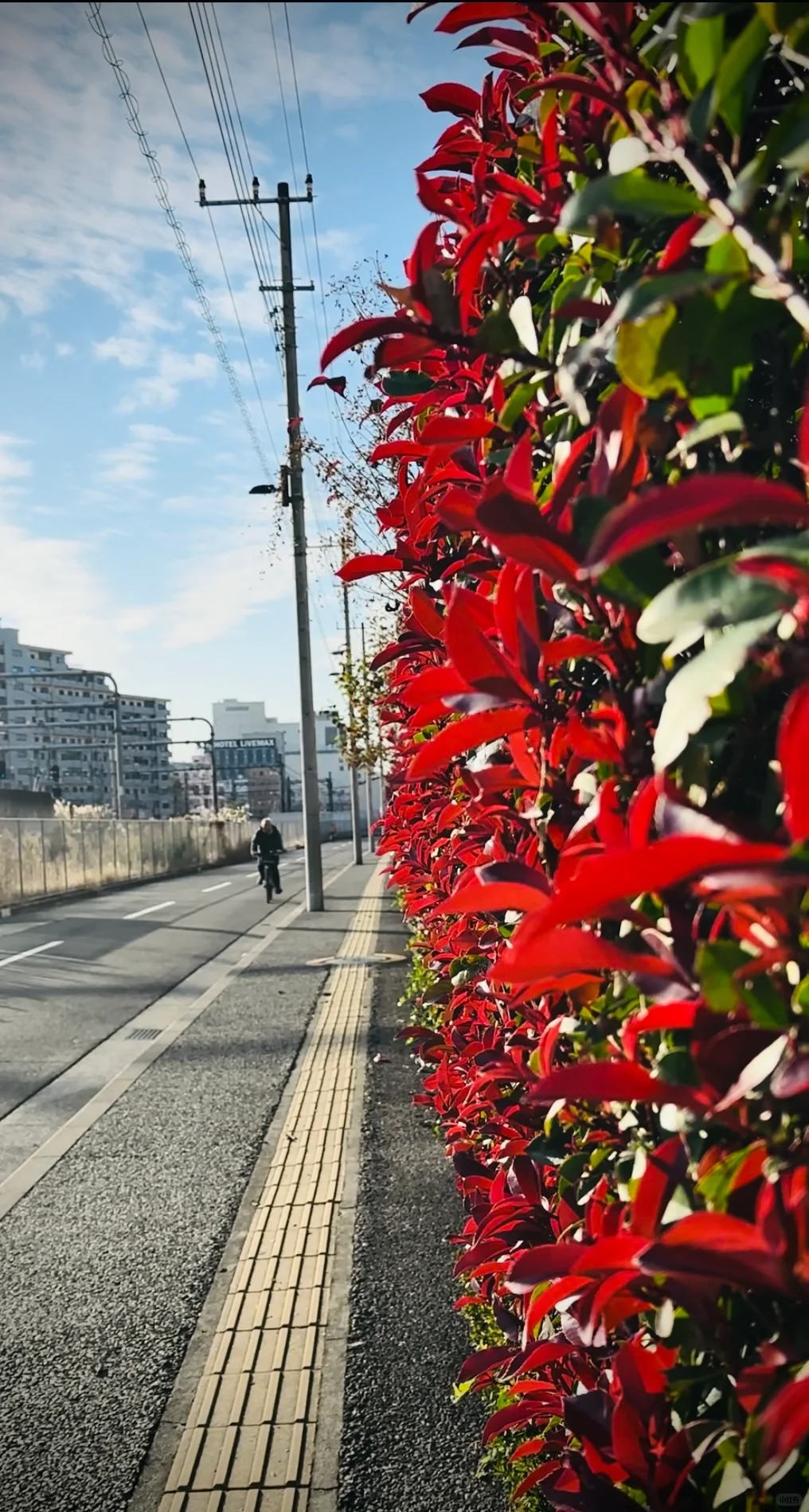 post_image