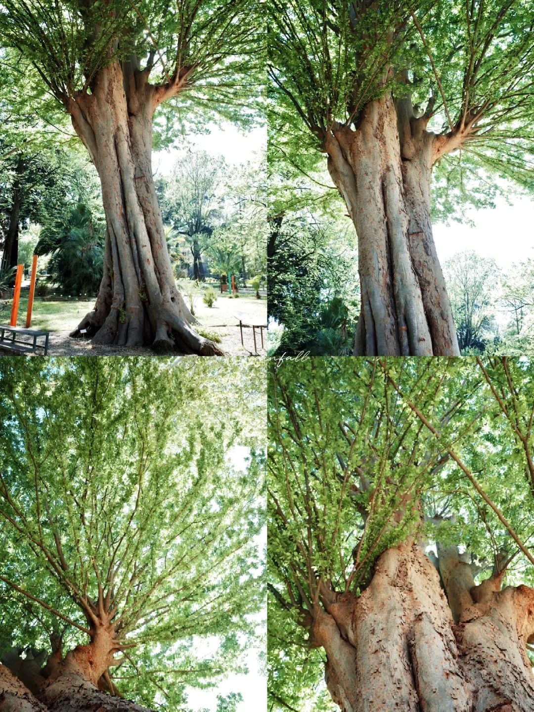 post_image