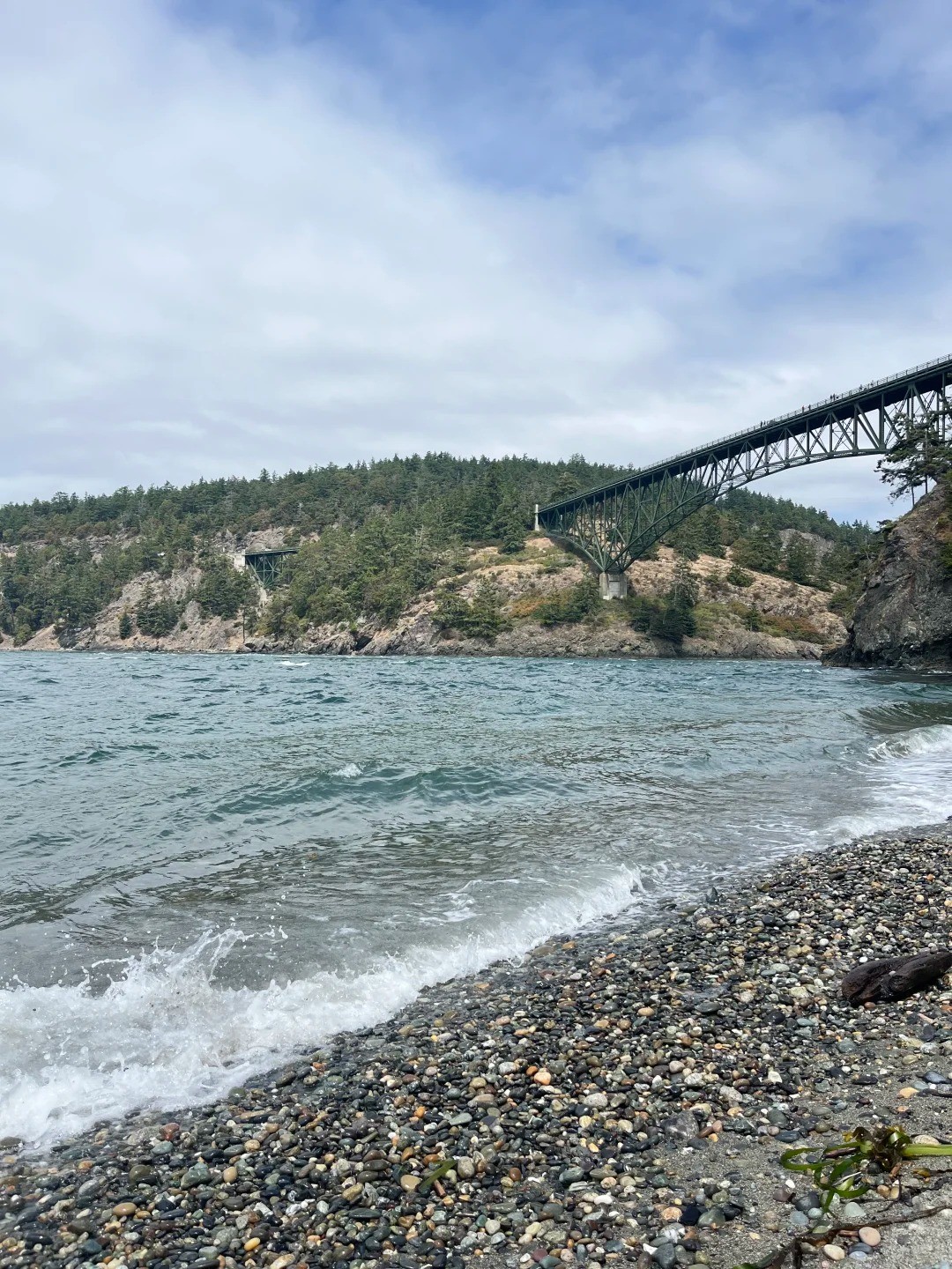  A Breathtaking Seattle Day Trip with Kids 🌉