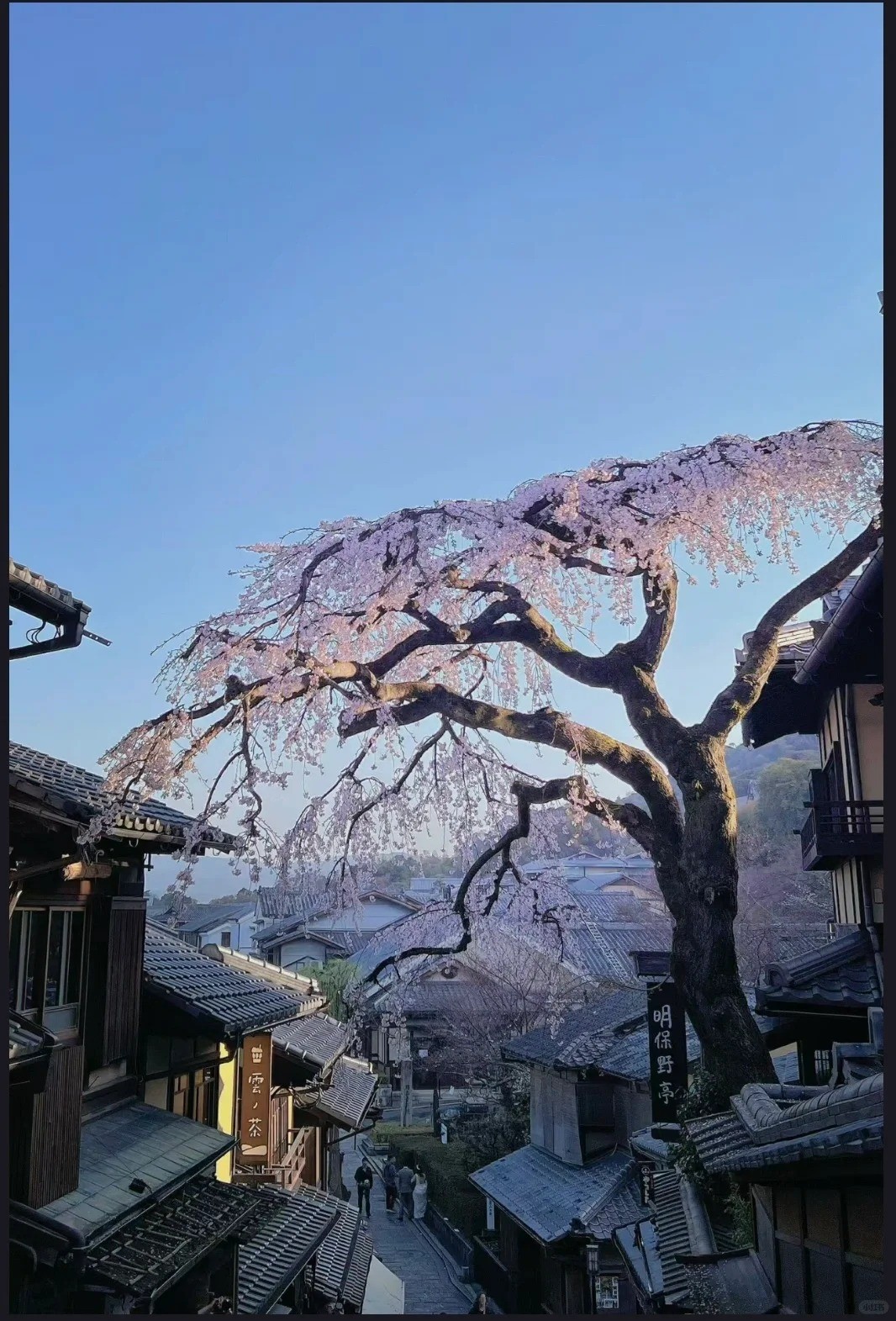 🍵 Kiyomizu-zaka & Ninen-zaka, Sannen-zaka