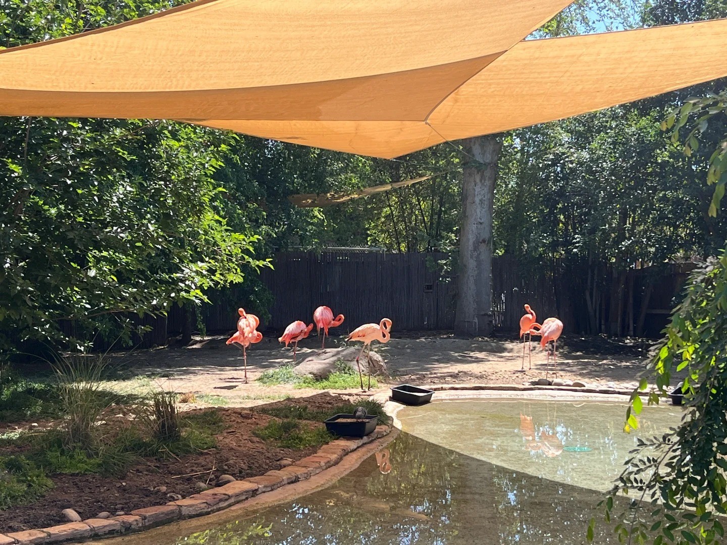 🦁 Fresno Chaffee Zoo