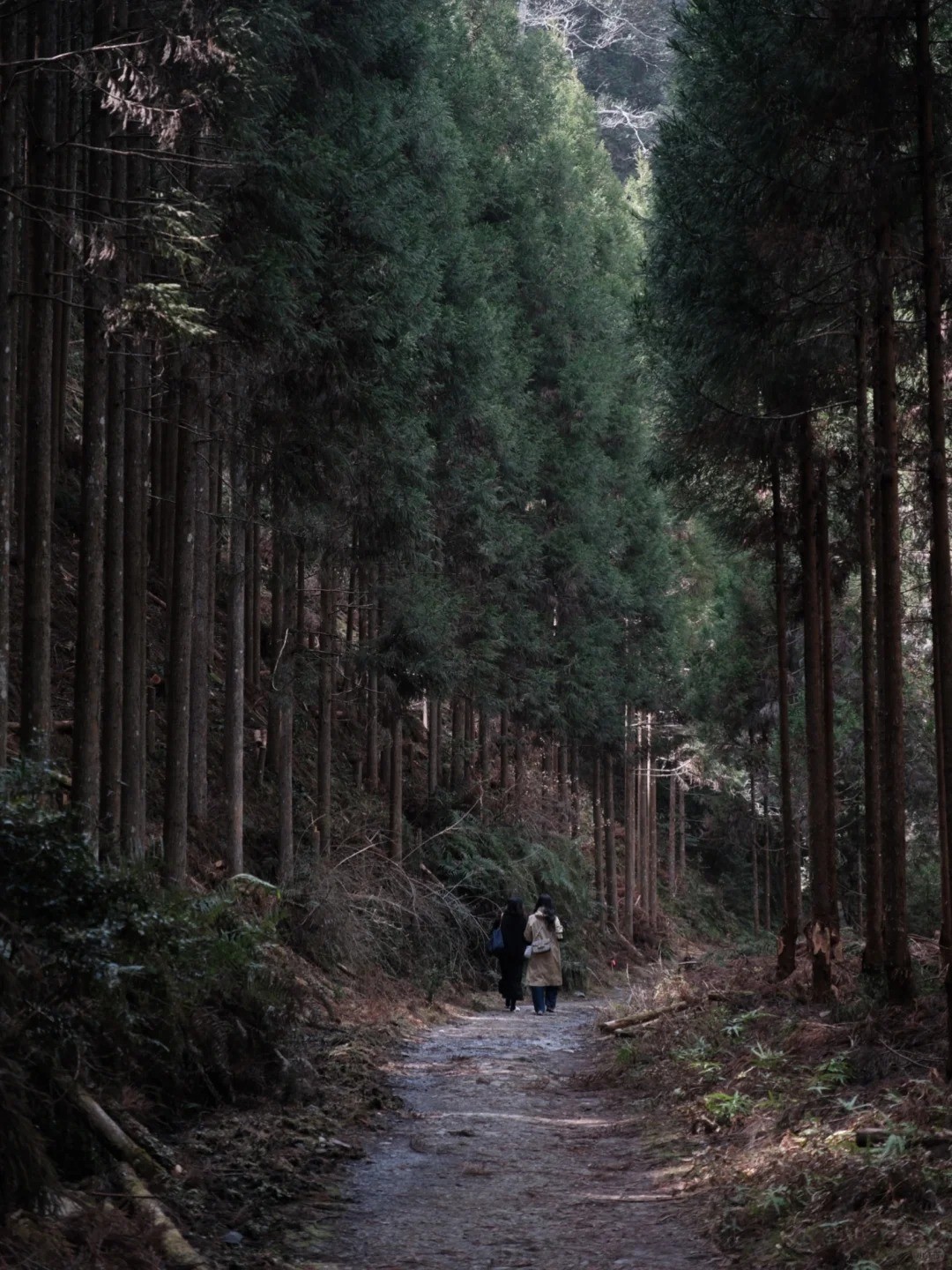 post_image