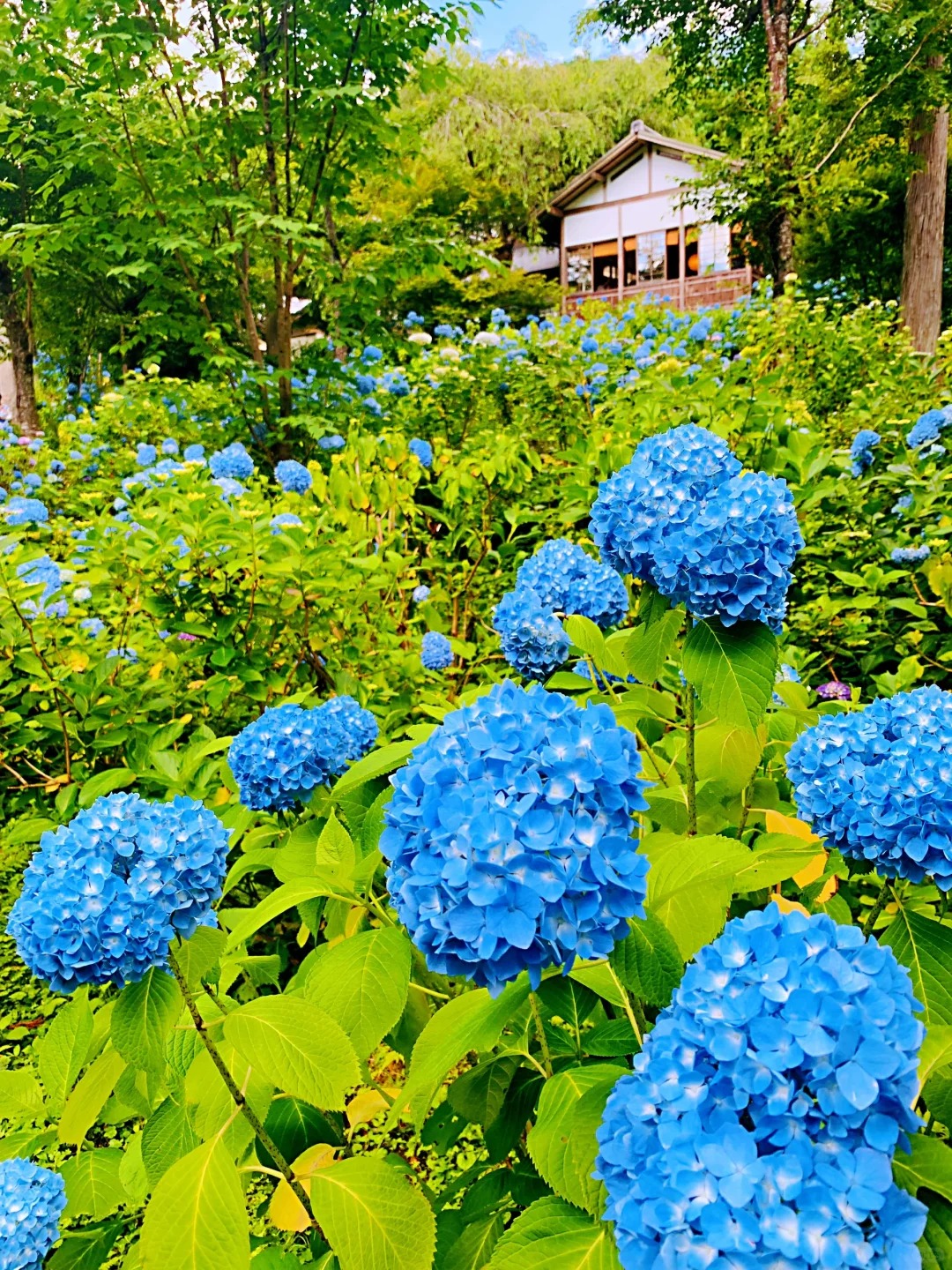 post_image