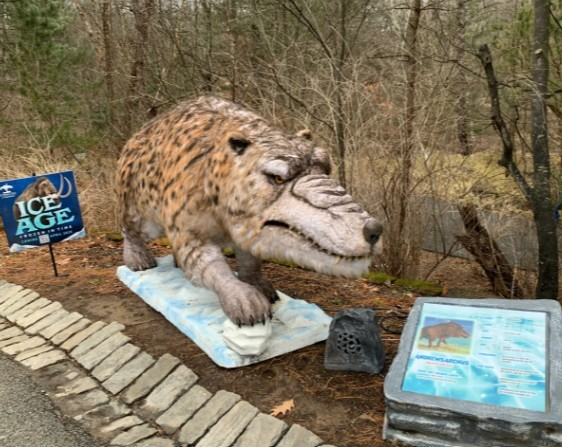 🦁 Pittsburgh Zoo & Aquarium by Brigid Finnerty | WanderBoat AI Trip Planner