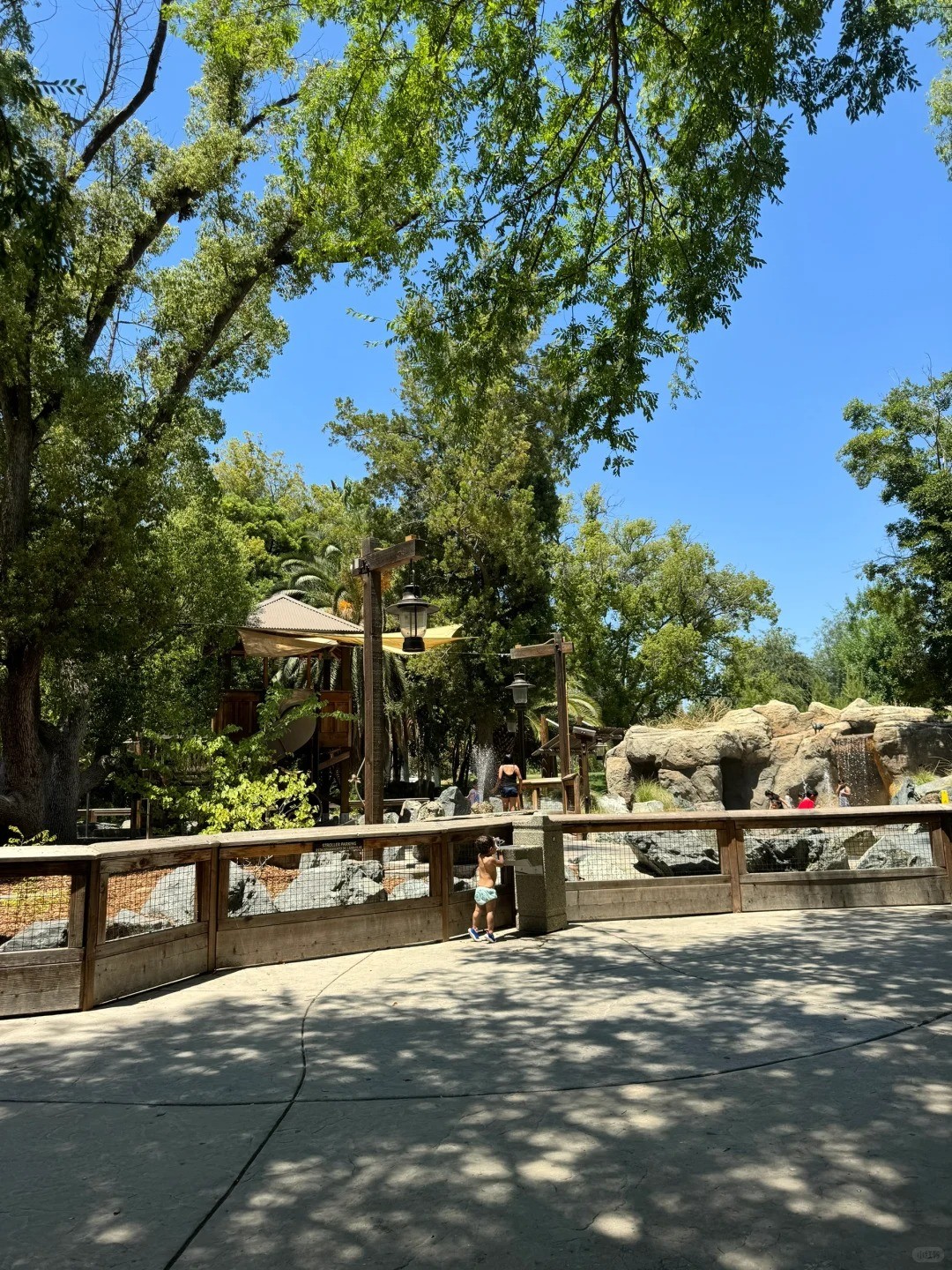 🦁 Fresno Chaffee Zoo: A Perfect Pit Stop Before Yosemite!