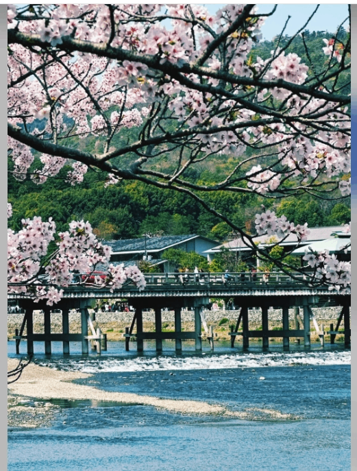 post_image