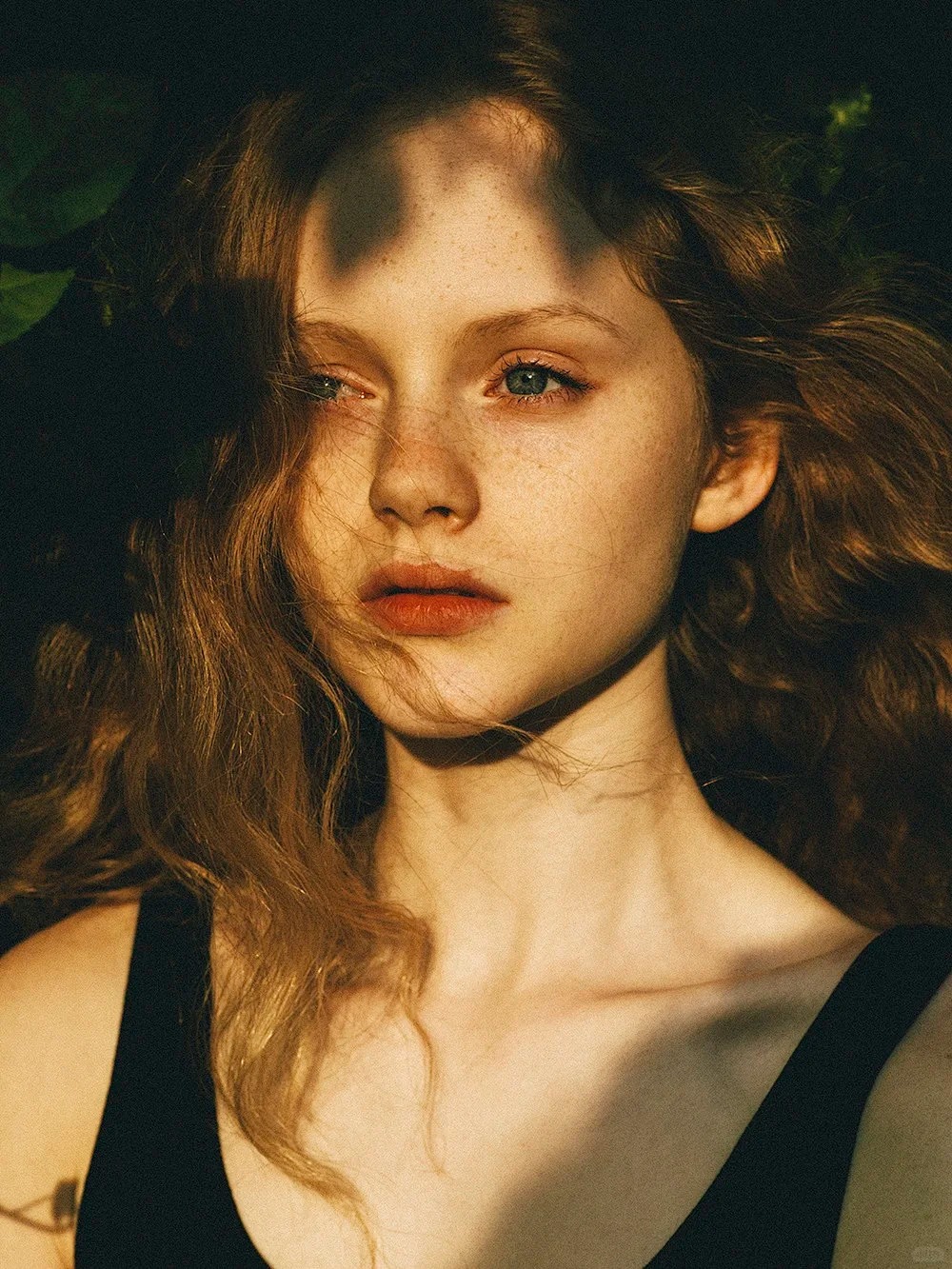 Isabella